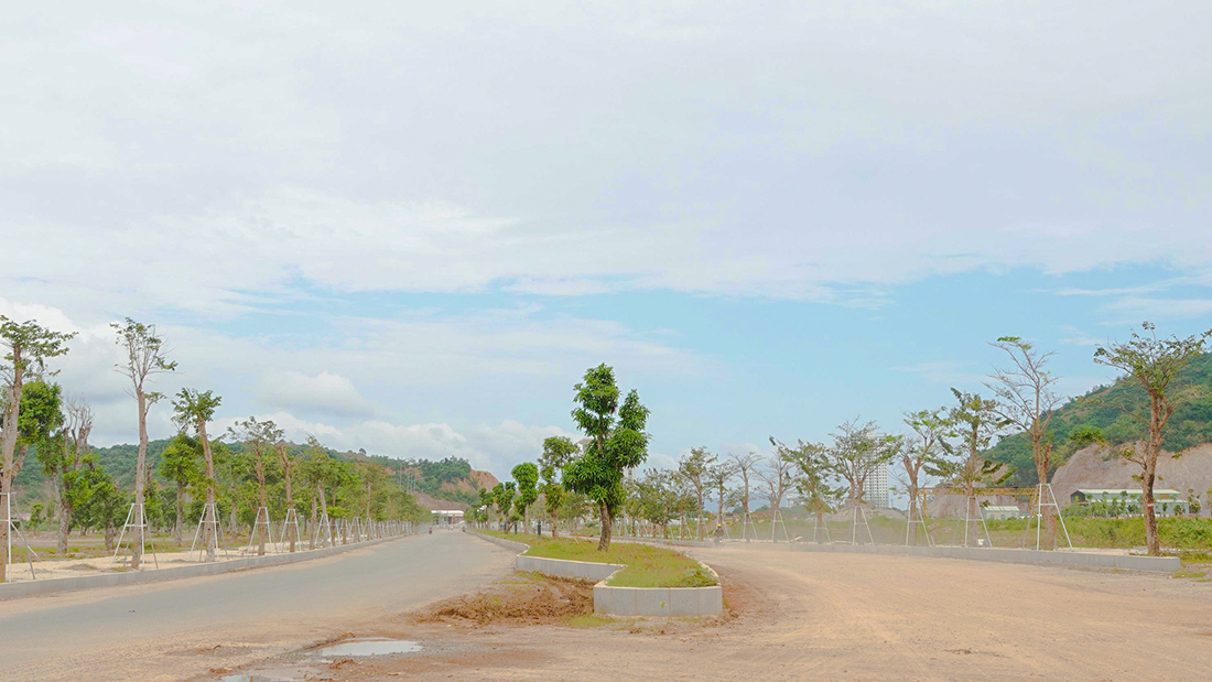 Bình Định mắc kẹt hơn 300ha “đất vàng” giữa trung tâm Quy Nhơn?