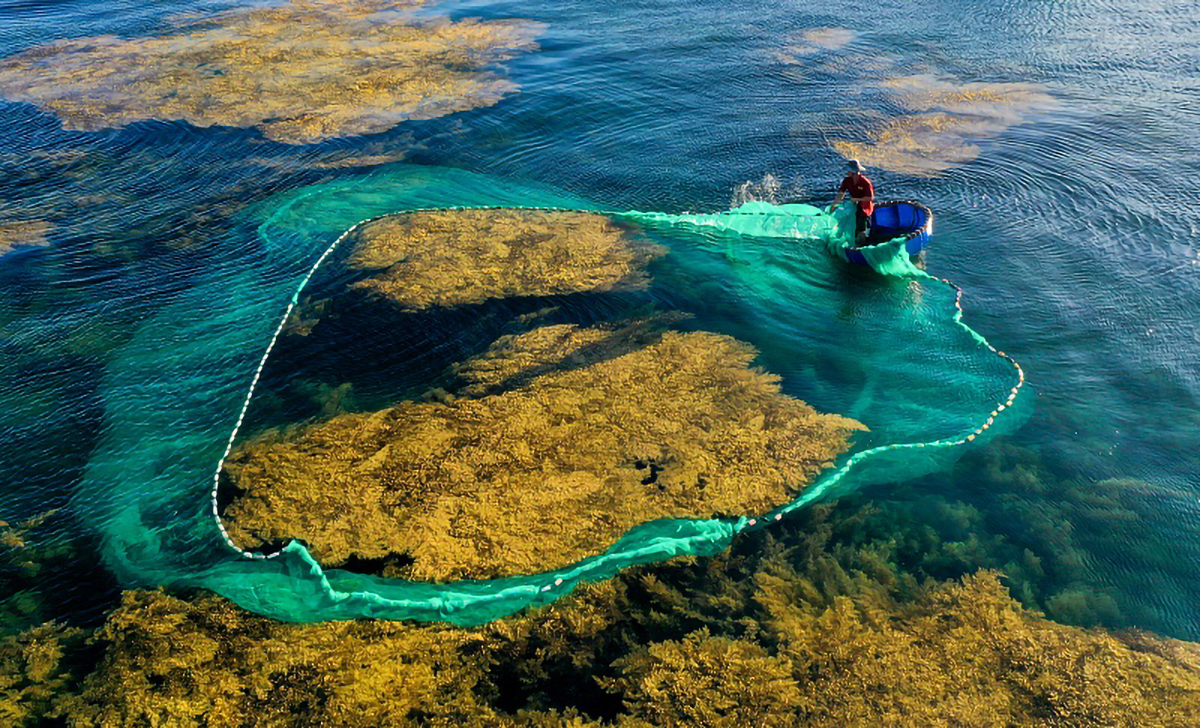 Bán đảo Hải Giang – Quy Nhơn: Một ngày đến những ngày yêu